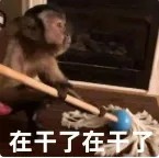 在干了在干了.jpg