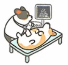 定期体检.jpg
