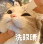 洗眼睛.jpg