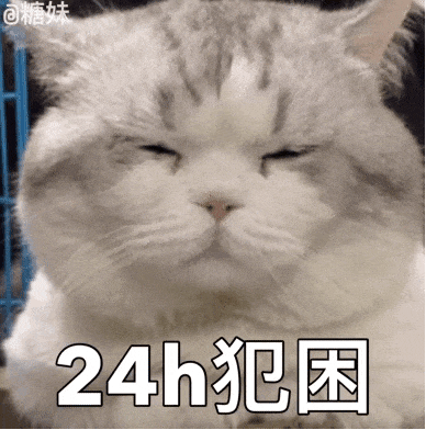 24小时犯困.gif