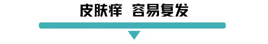 皮肤痒.jpg