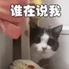 谁在说我.jpg