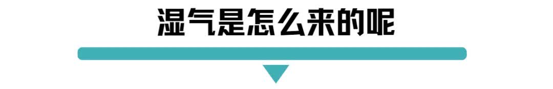 湿气是怎么来的.jpg