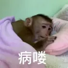 病喽.png