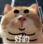 好的.png