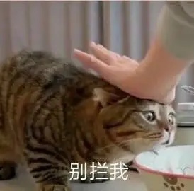 别拦我.jpg