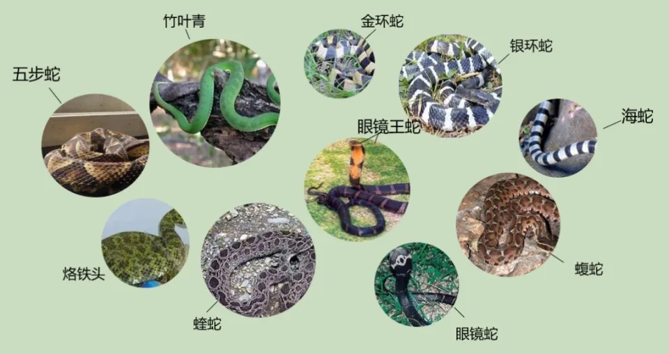 记住特征.jpg