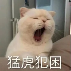 猛虎犯困.jpg