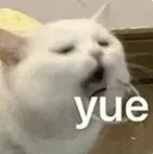 yue.jpg