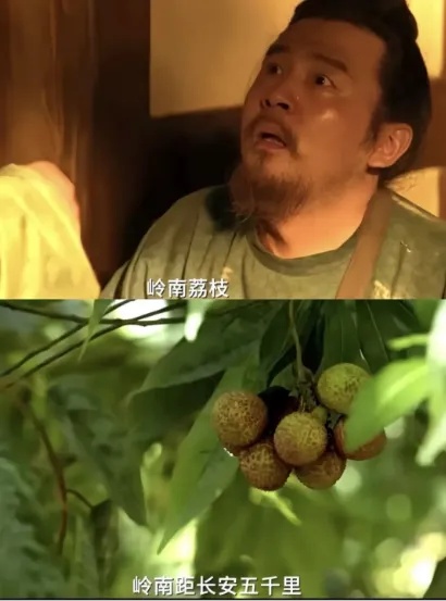 《长安的荔枝》剧照.jpg