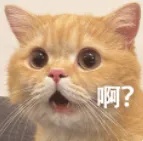 啊.jpg