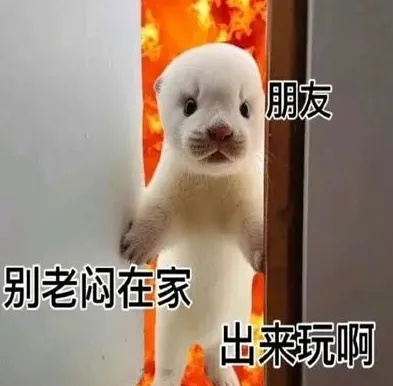 朋友.jpg