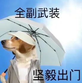 全副武装.jpg