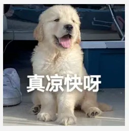 真凉快.jpg