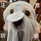 注意防嗮.jpg