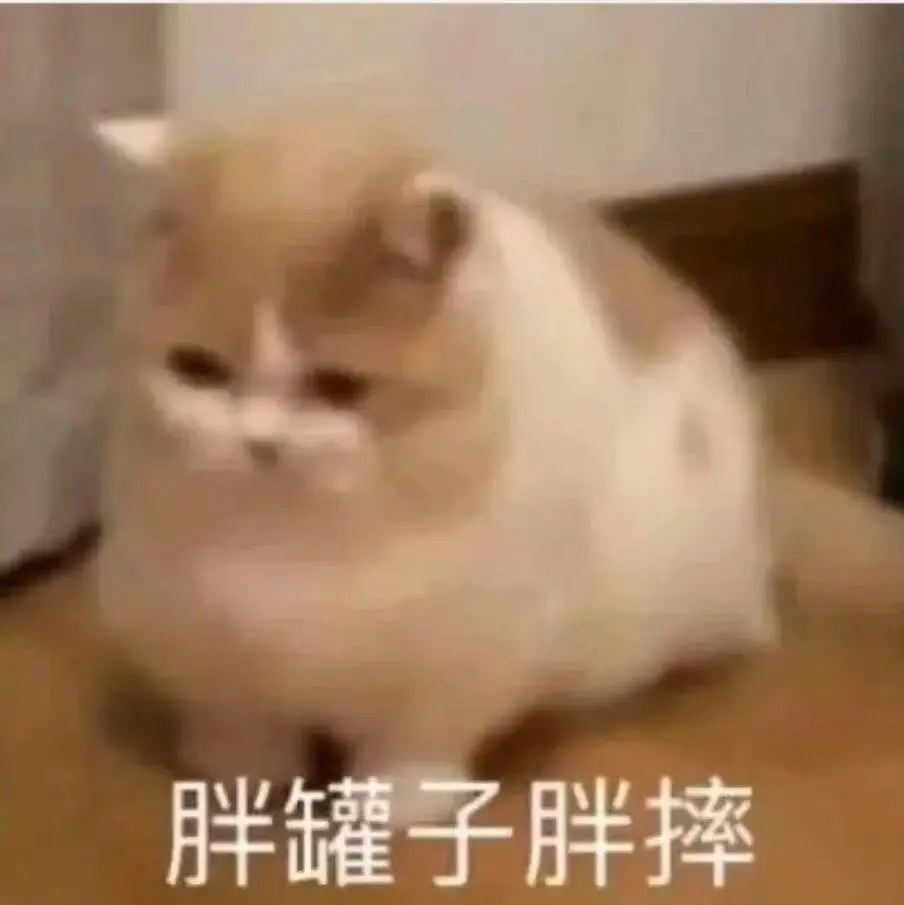 胖罐子.jpg