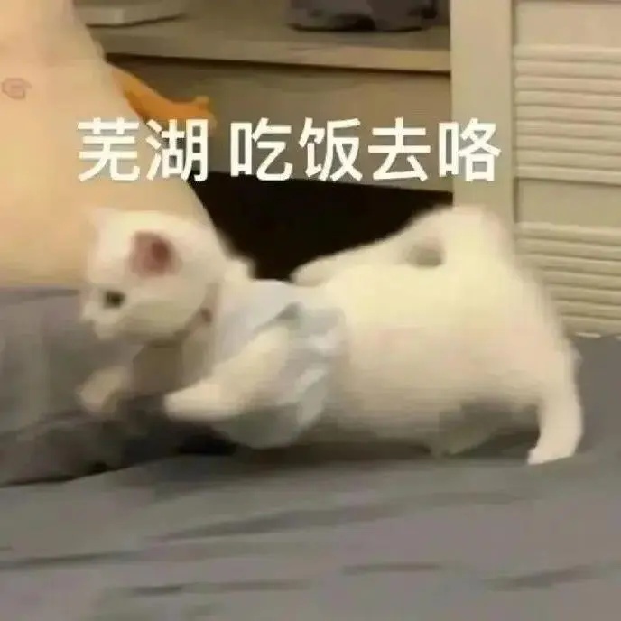 芜湖吃饭了.jpg