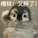 糟糕我胖了.jpg