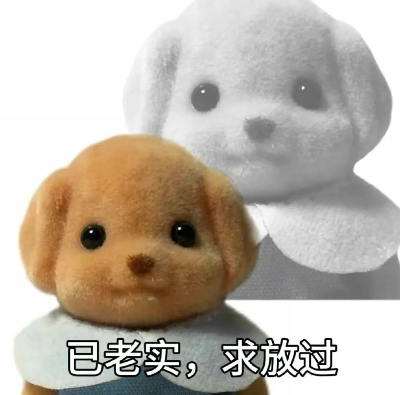 图源：网络