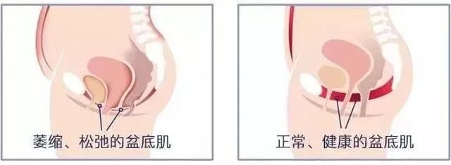 微信图片_20250814151525.jpg