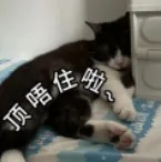 顶住.jpg