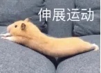 伸展运动.jpg