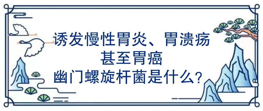 诱发慢性胃炎、胃溃疡甚至胃癌幽门螺旋杆菌是什么.jpg