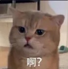 啊.jpg