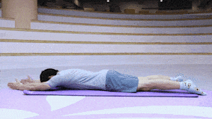 小飞燕.gif