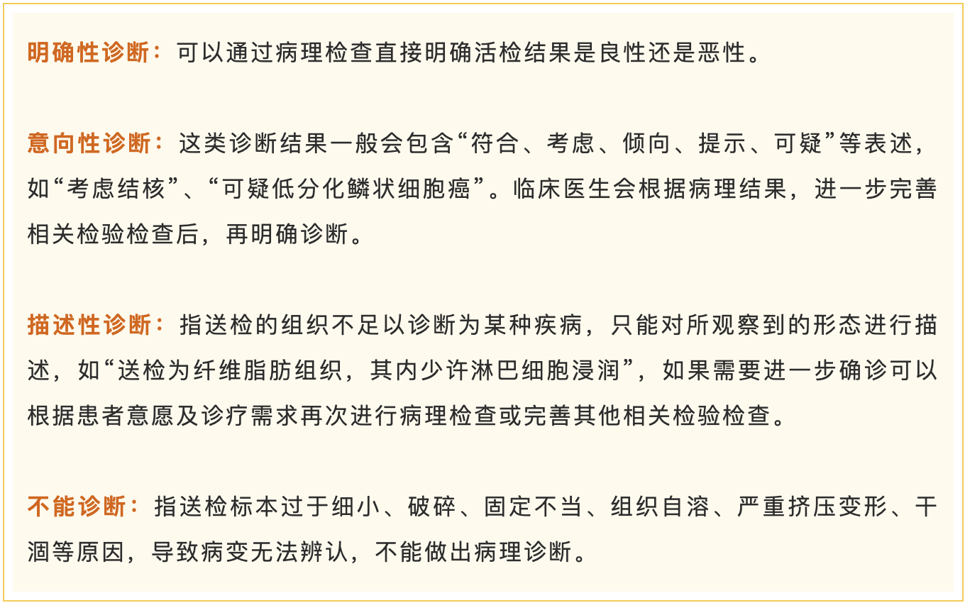 病理报告.png