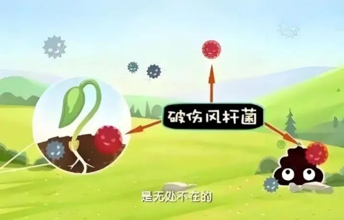 微信图片_20250916164950.jpg