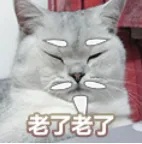 老了老了.jpg