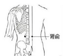 肾俞穴.jpg