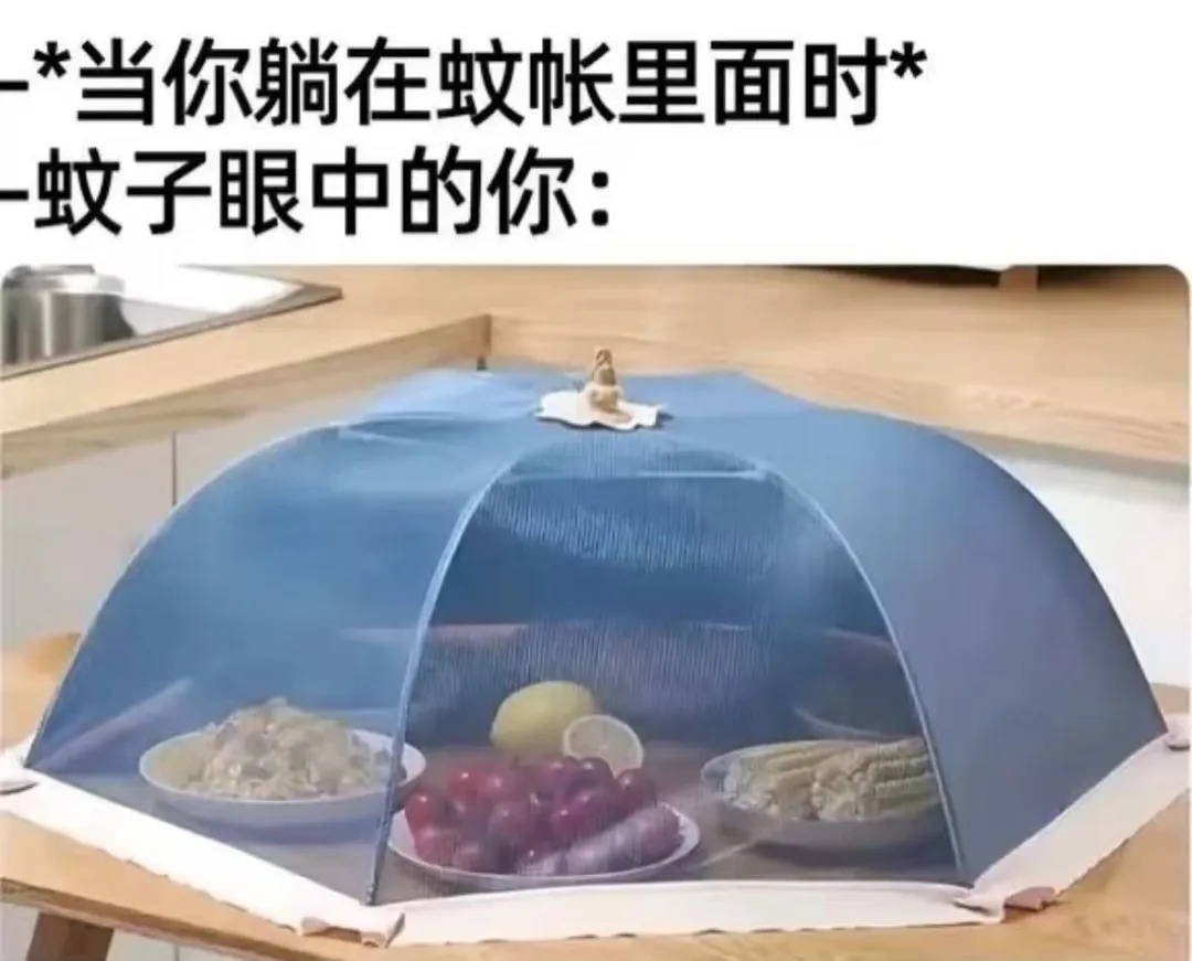 当你躺在蚊帐里面.jpg