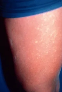 高能预警3.jpg