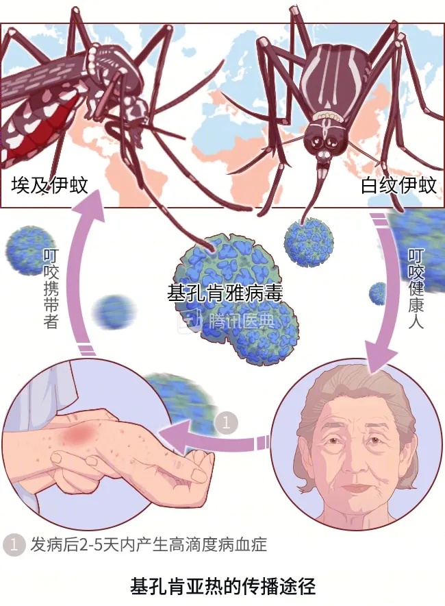 腾讯医典.jpg
