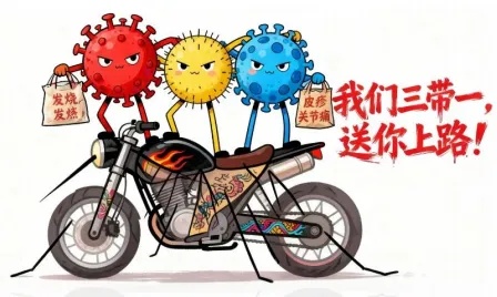 我们三带一.jpg