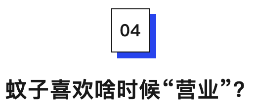 蚊子喜欢啥时候“营业”?.png
