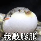 我膨胀了.jpg
