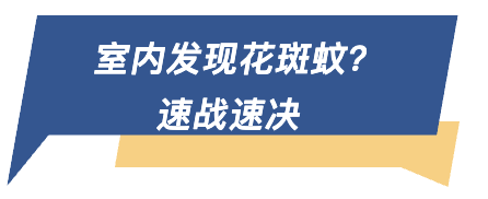 室内发现花斑蚊.png