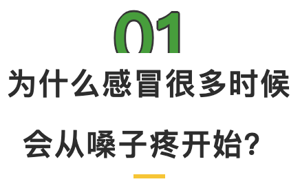 01为什么.png
