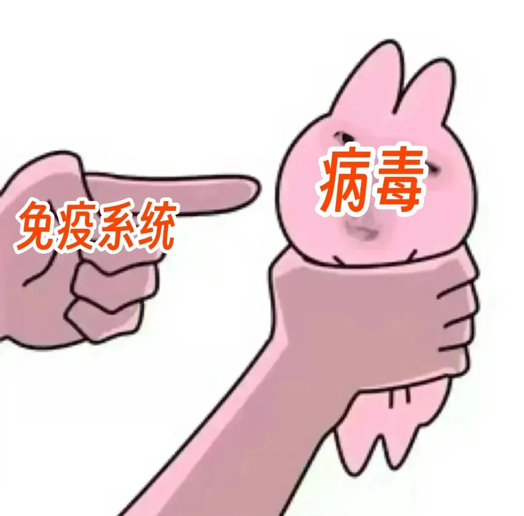 免疫系统和病毒.jpg