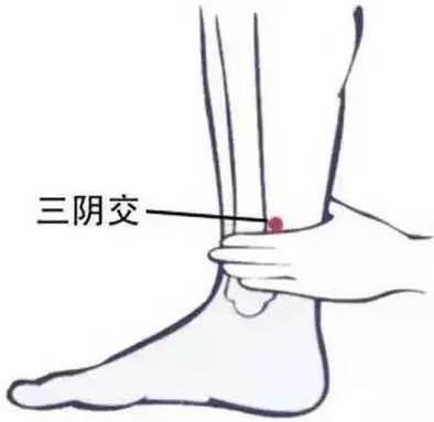 三阴交穴.jpg
