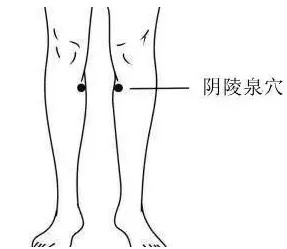 阴陵泉穴.jpg