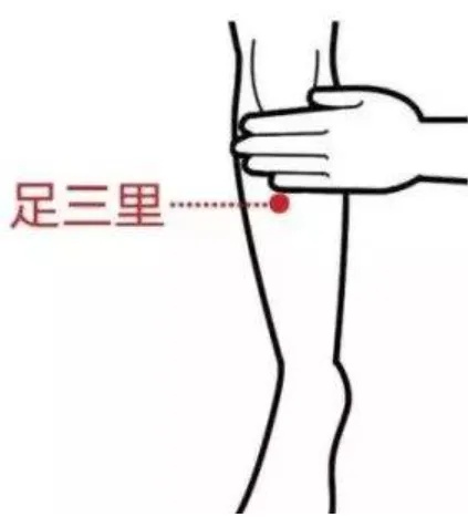 足三里穴.jpg