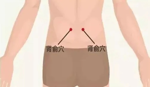 肾腧穴.jpg