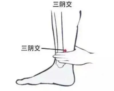 常按保健穴-三阴交.jpg