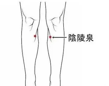 常按保健穴-阴陵泉.jpg