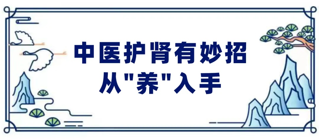 中医护肾有妙招从养入手.jpg