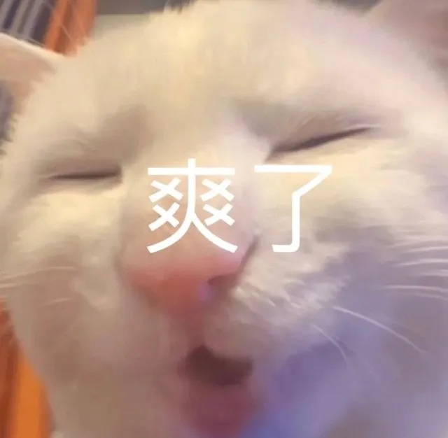 爽.jpg